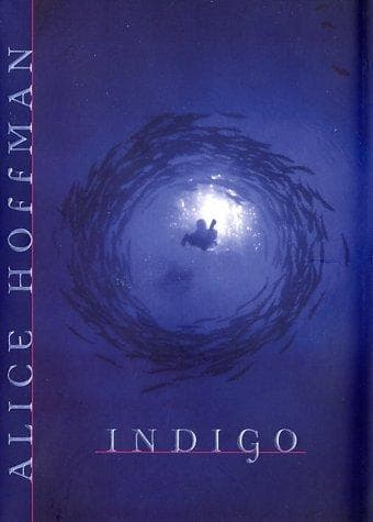 Cover image for Indigo