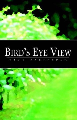 Cover image for Bird's Eye View