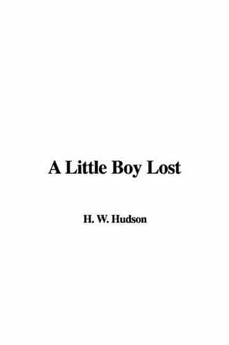 Cover image for A Little Boy Lost