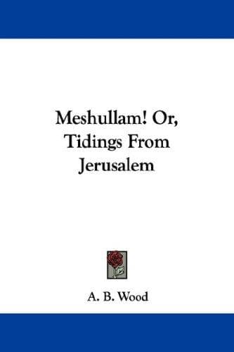 Cover image for Meshullam! Or, Tidings From Jerusalem