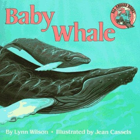 Cover image for Baby whale