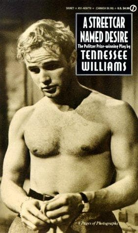 Cover image for A Streetcar Named Desire