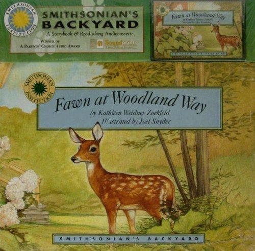 Cover image for Fawn at Woodland Way