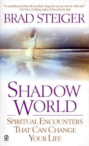 Cover image for Shadow world