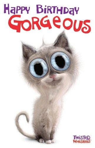 Cover image for Twisted Whiskers