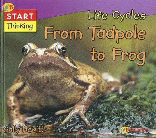 Cover image for Life Cycles