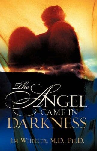Cover image for The Angel Came in Darkness