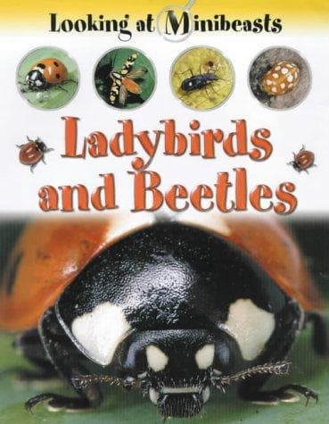 Cover image for Ladybirds and Beetles (Looking at Minibeasts)