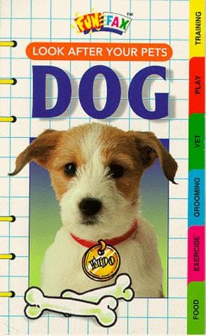 Cover image for Look After Your Pets (Funfax)