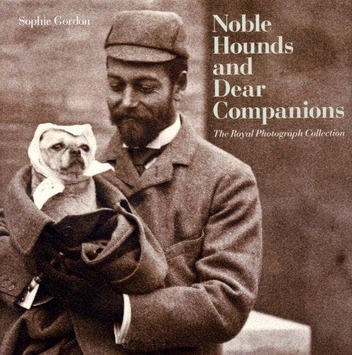 Noble Hounds and Dear Companions