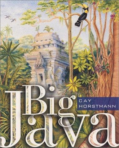Cover image for Big Java