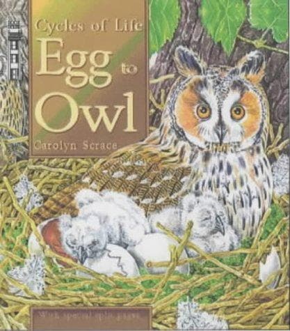 Cover image for Egg to Owl (Cycles of Life)