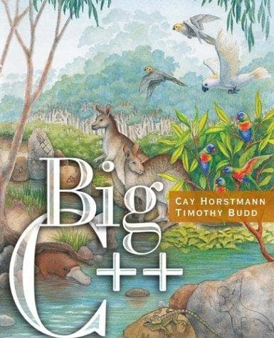 Cover image for Big C++