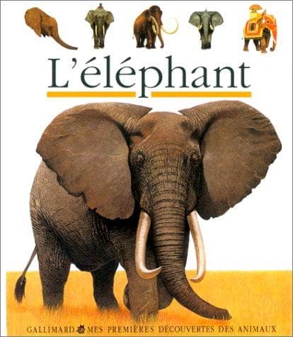 Cover image for L'éléphant