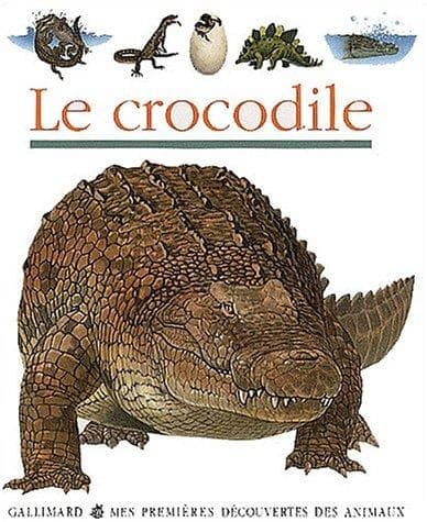 Cover image for Le crocodile
