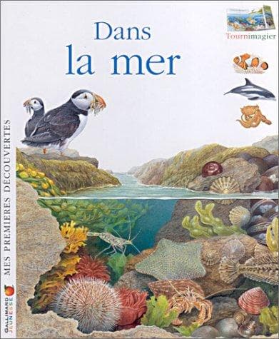 Cover image for Dans la mer