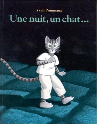 Cover image for Une nuit, un chat--