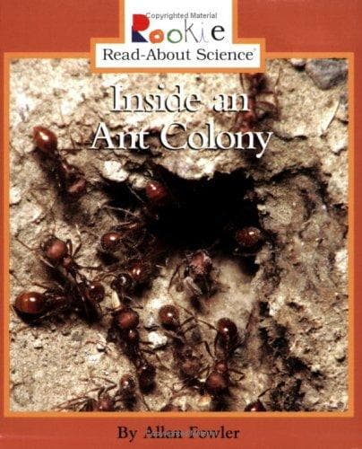Cover image for Inside an Ant Colony (Rookie Read-About Science)