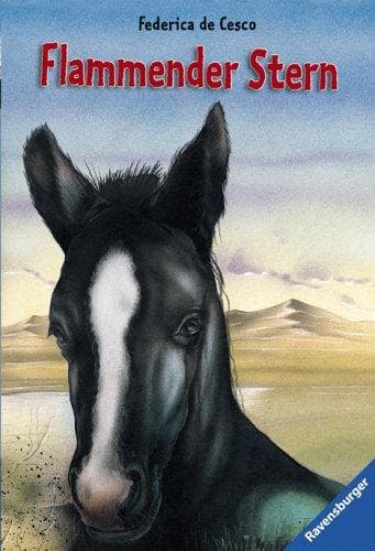 Cover image for Flammender Stern. ( Ab 12 J.).
