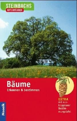 Cover image for Bäume