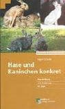 Hase und Kaninchen konkret