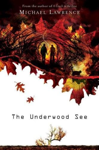 Cover image for The Underwood See (Withern Rise)