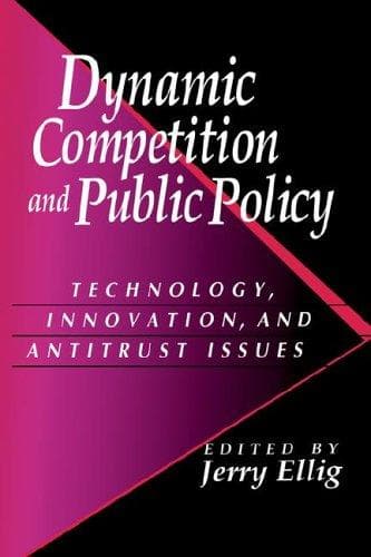 Dynamic Competition and Public Policy