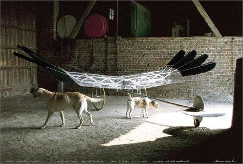 Cover image for Panamarenko