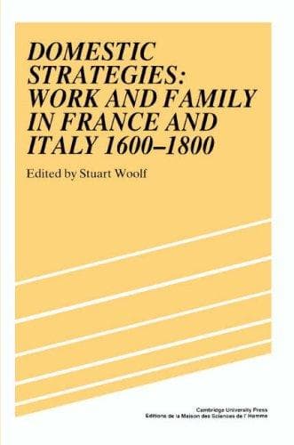 Cover image for Domestic strategies