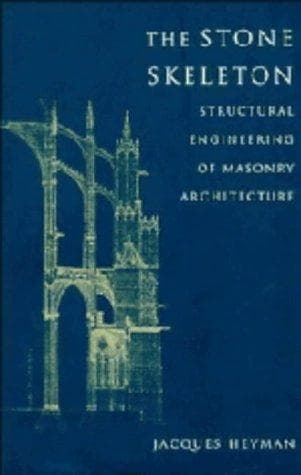 Cover image for The stone skeleton