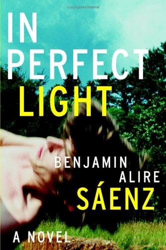 Cover image for In Perfect Light