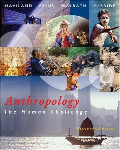 Cover image for Anthropology