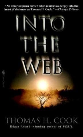 Cover image for Into the web