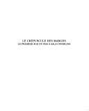 Le crépuscule des marges