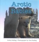 Cover image for Arctic babies