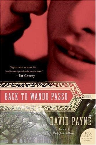 Cover image for Back to Wando Passo