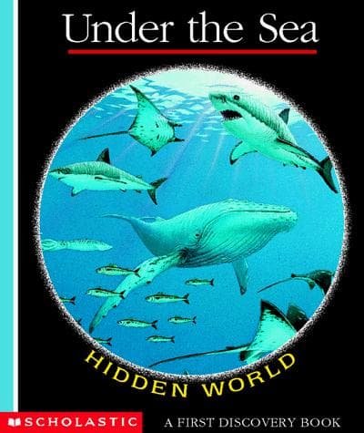 Cover image for Hidden world.