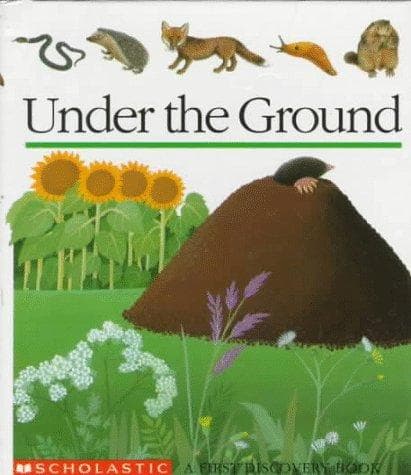 Cover image for Under the ground