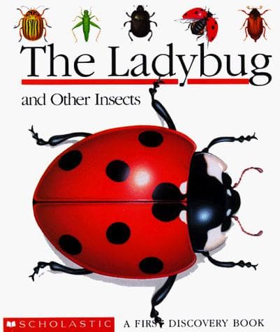 Cover image for The ladybug and other insects
