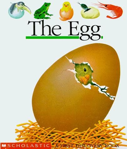 Cover image for The egg
