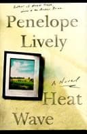 Cover image for Heat wave