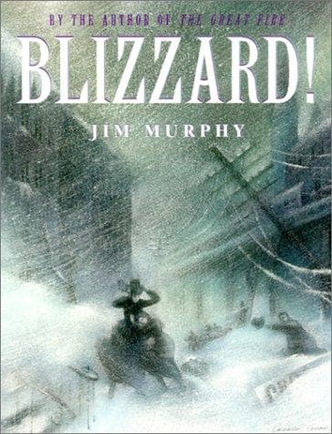 Cover image for Blizzard