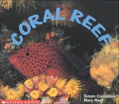 Cover image for Coral reef