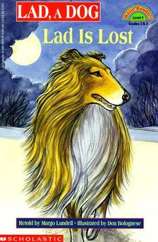 Cover image for Lad, a dog