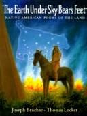 Cover image for The earth under Sky Bear's feet