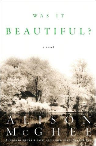Cover image for Was it beautiful?