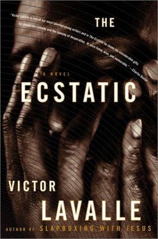 Cover image for The ecstatic, or, Homunculus
