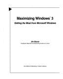 Cover image for Maximizing Windows 3