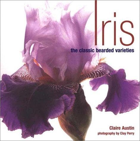 Cover image for Iris