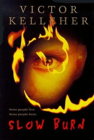 Cover image for Slow Burn
